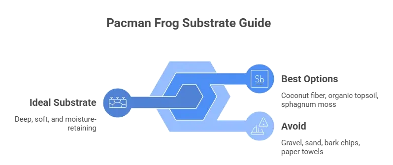 Substrate Pacman Frog Enclosure - What to use and what to avoid